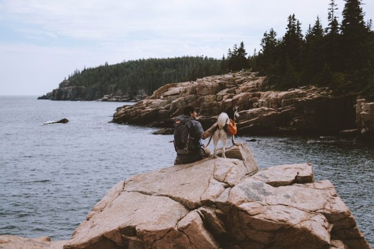 The Ultimate Fishing Experience – Finding Peace by the Water